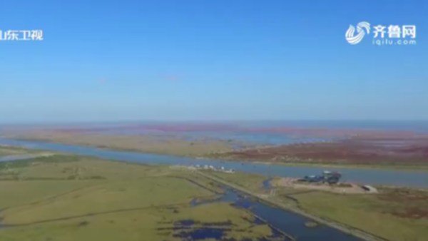 生態(tài)環(huán)境部與東營(yíng)簽署協(xié)議 協(xié)同推進(jìn)黃河三角洲生態(tài)環(huán)境保護(hù)